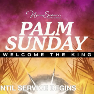 When Your Setback Seems Irreversible – Palm Sunday